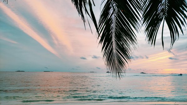 Économiser sur une location de dernière minute : mode d'emploi